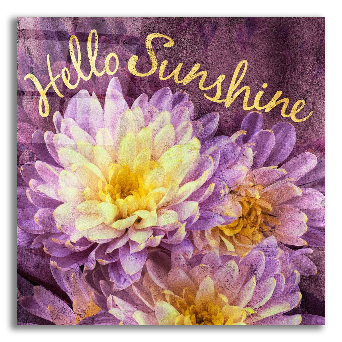 Flowersay 5 by Art Licensing Studio acrylic glass wall art