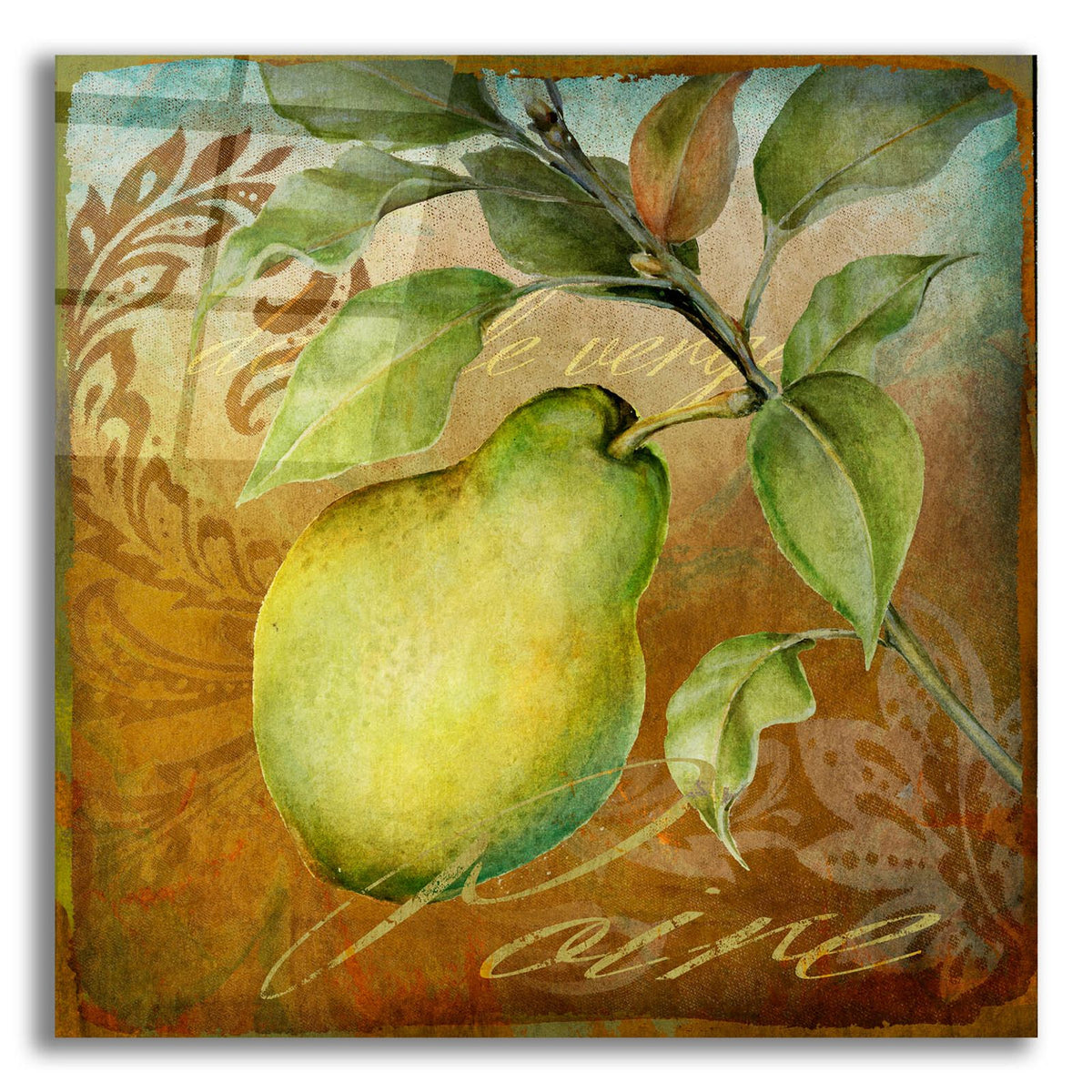 From The Grove Pear by Art Licensing Studio acrylic glass wall art