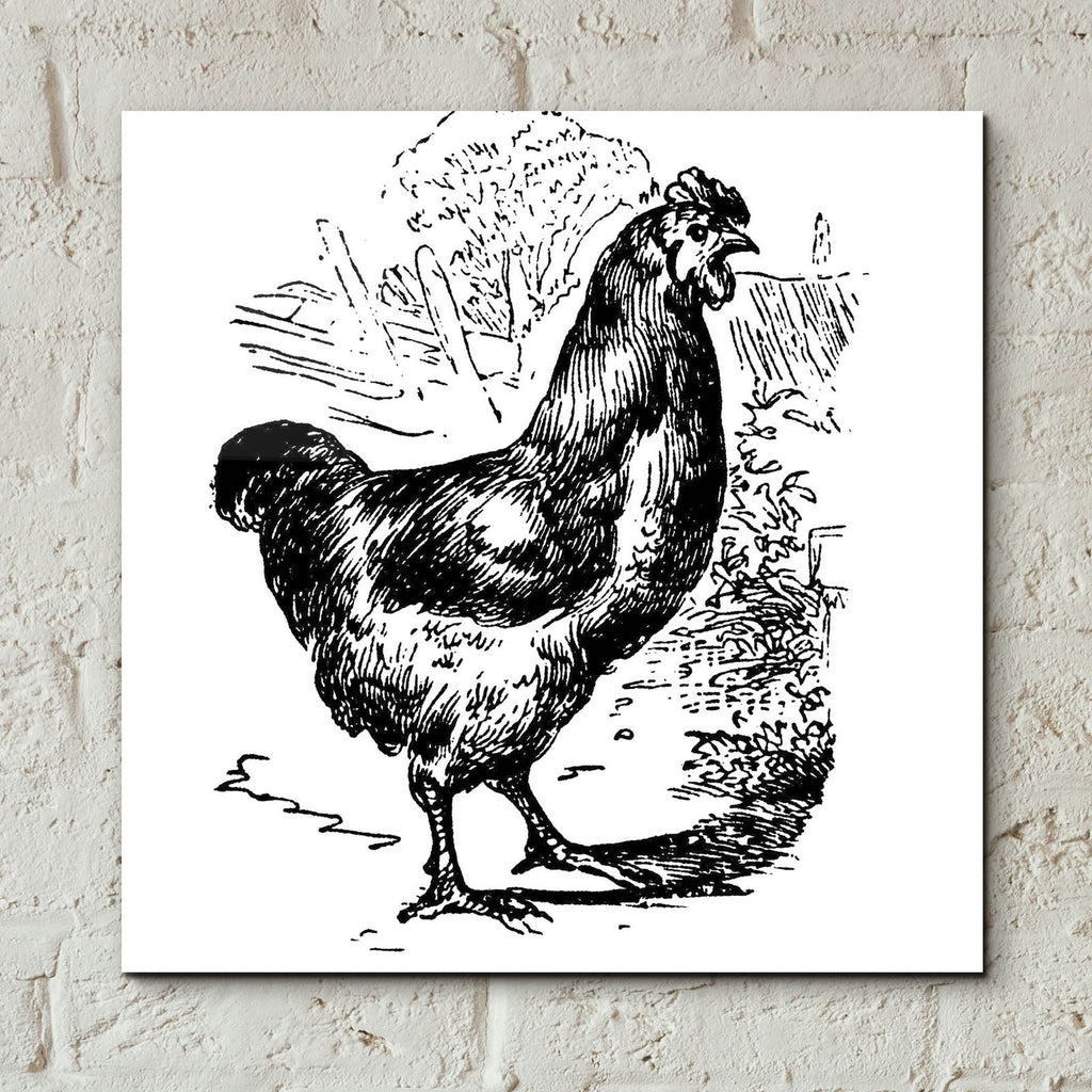 Garden Chicken by Art Licensing Studio - 12x12 acrylic wall art in a room