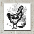 Garden Chicken by Art Licensing Studio - 12x12 acrylic wall art in a room