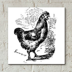 Garden Chicken by Art Licensing Studio - 12x12 acrylic wall art in a room