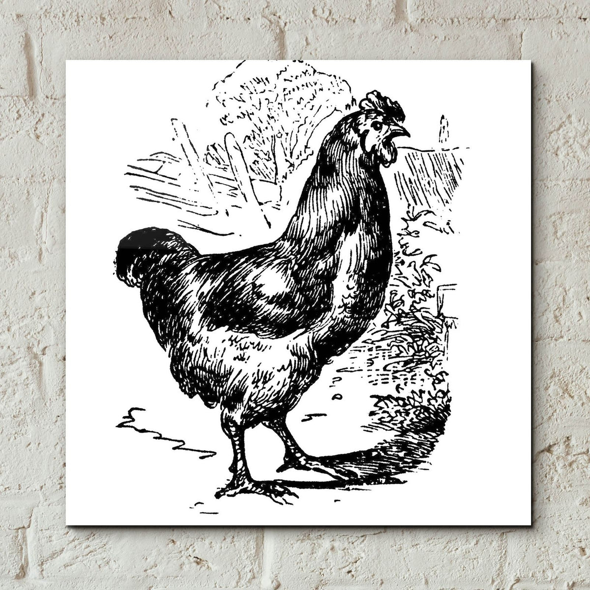 Garden Chicken by Art Licensing Studio - 12x12 acrylic wall art in a room