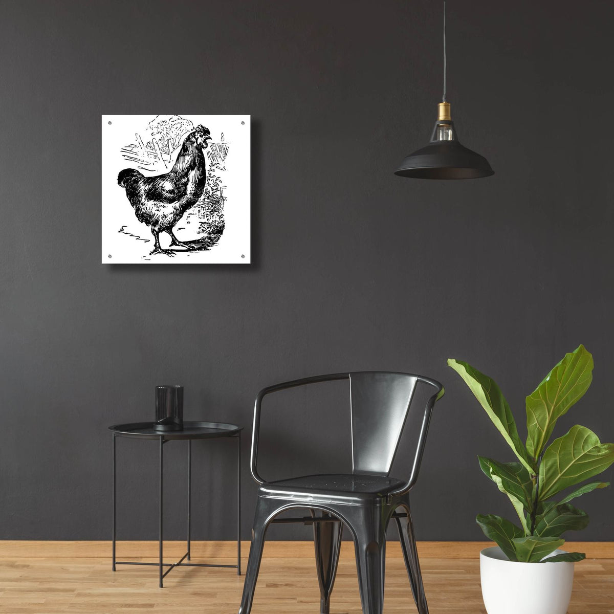 Garden Chicken by Art Licensing Studio - 24x24 acrylic wall art in a room