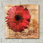 Gerbera Italia by Art Licensing Studio - 12x12 acrylic wall art in a room