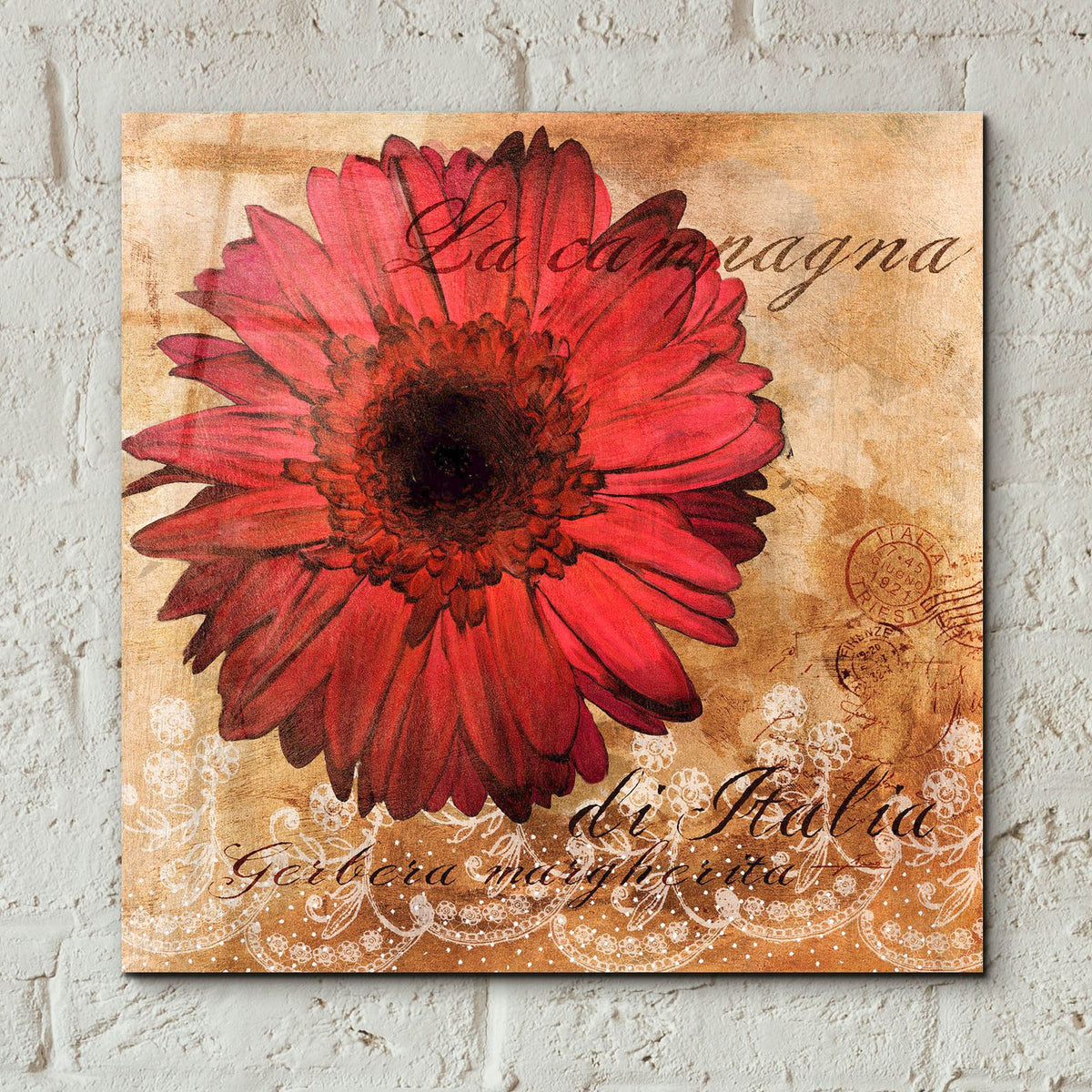 Gerbera Italia by Art Licensing Studio - 12x12 acrylic wall art in a room