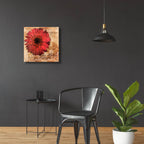 Gerbera Italia by Art Licensing Studio - 24x24 acrylic wall art in a room