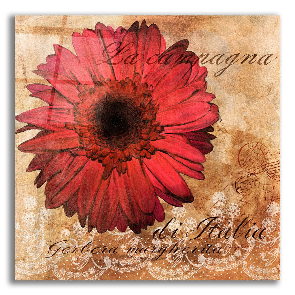 Gerbera Italia by Art Licensing Studio acrylic glass wall art
