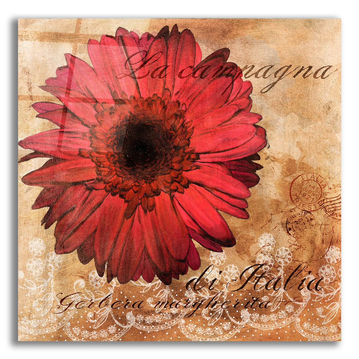 Gerbera Italia by Art Licensing Studio acrylic glass wall art