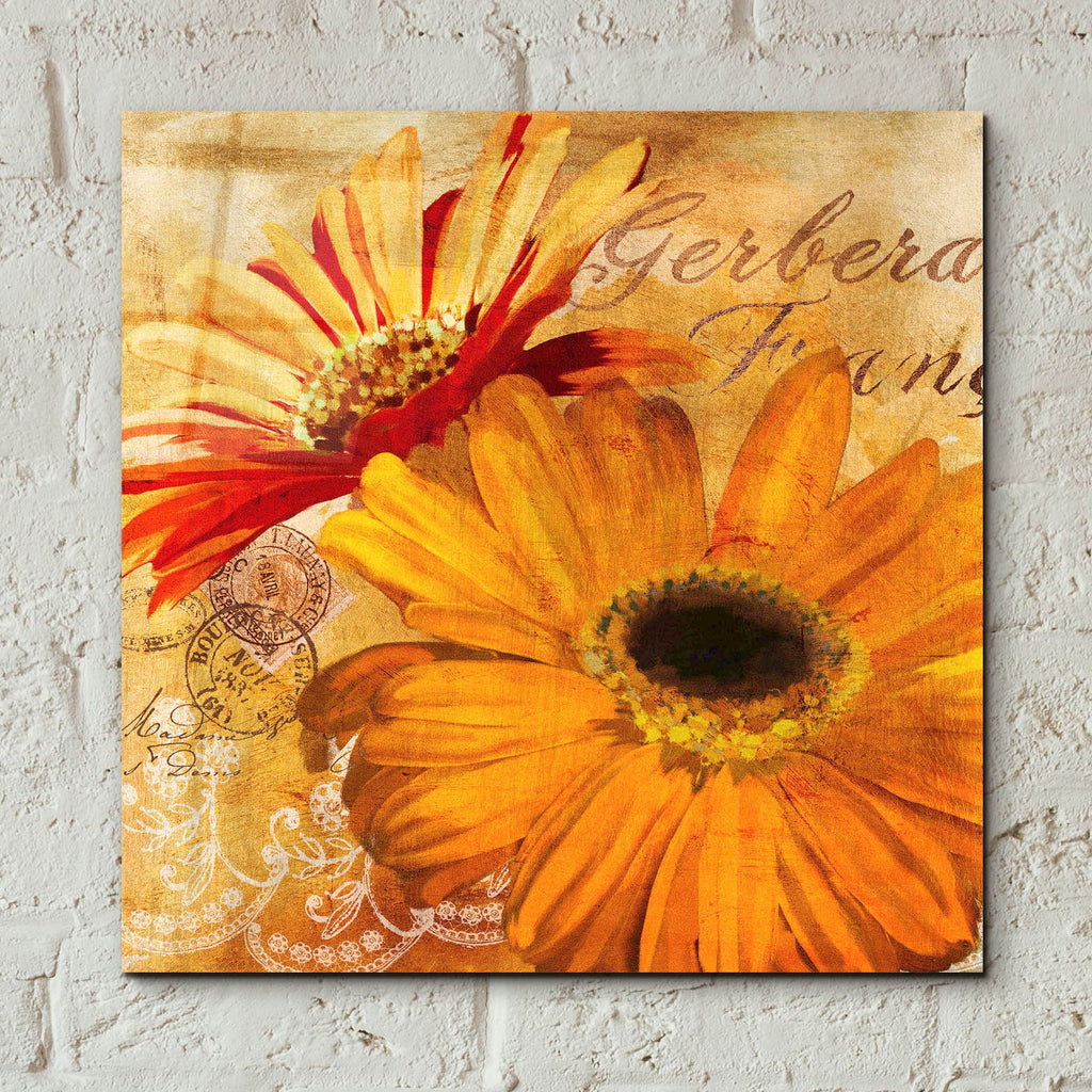 Golden Gerbera 2 by Art Licensing Studio - 12x12 acrylic wall art in a room