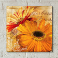 Golden Gerbera 2 by Art Licensing Studio - 12x12 acrylic wall art in a room