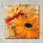 Golden Gerbera 2 by Art Licensing Studio - 12x12 acrylic wall art in a room