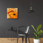 Golden Gerbera 2 by Art Licensing Studio - 24x24 acrylic wall art in a room
