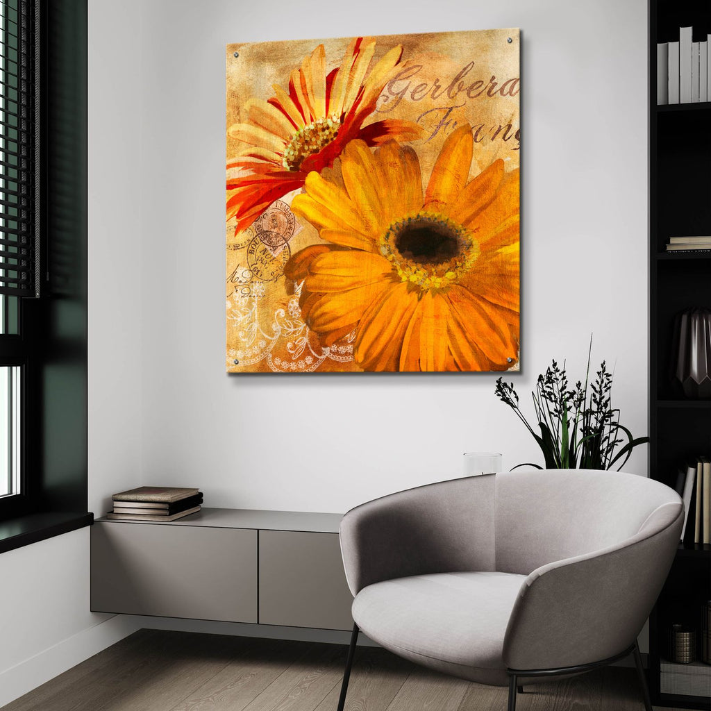Golden Gerbera 2 by Art Licensing Studio - 36x36 acrylic wall art in a room