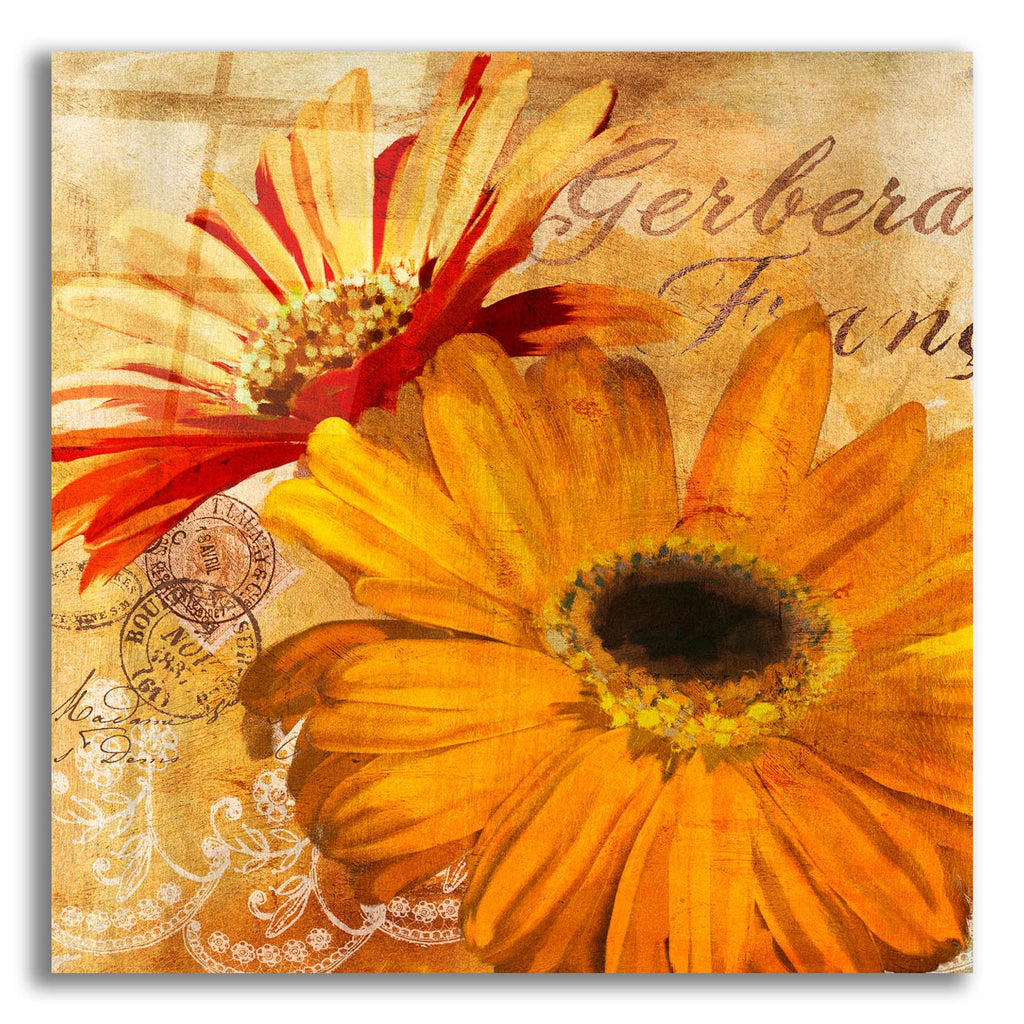 Golden Gerbera 2 by Art Licensing Studio acrylic glass wall art