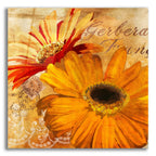 Golden Gerbera 2 by Art Licensing Studio acrylic glass wall art