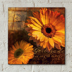 Golden Gerbera 4 by Art Licensing Studio - 12x12 acrylic wall art in a room
