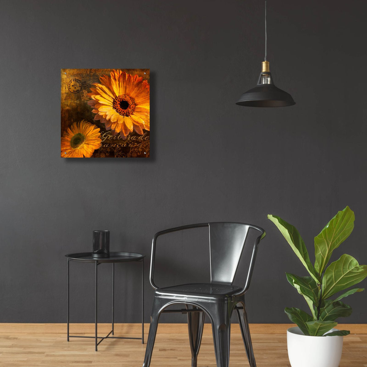 Golden Gerbera 4 by Art Licensing Studio - 24x24 acrylic wall art in a room
