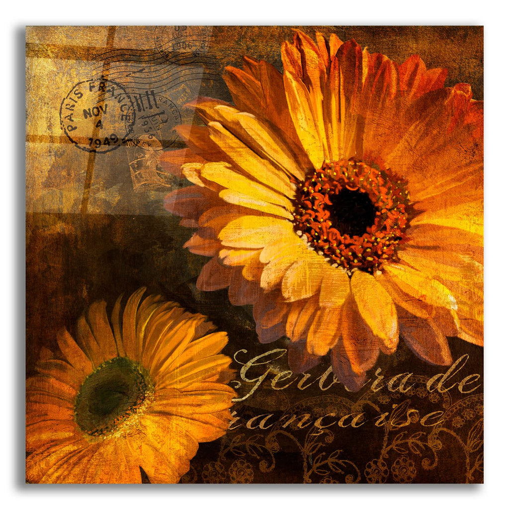 Golden Gerbera 4 by Art Licensing Studio acrylic glass wall art