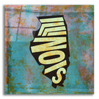Illinois by Art Licensing Studio acrylic glass wall art