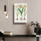 Iris And Allium by Art Licensing Studio - 16x24 acrylic wall art in a room