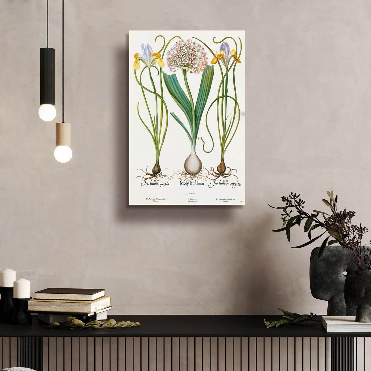 Iris And Allium by Art Licensing Studio - 16x24 acrylic wall art in a room