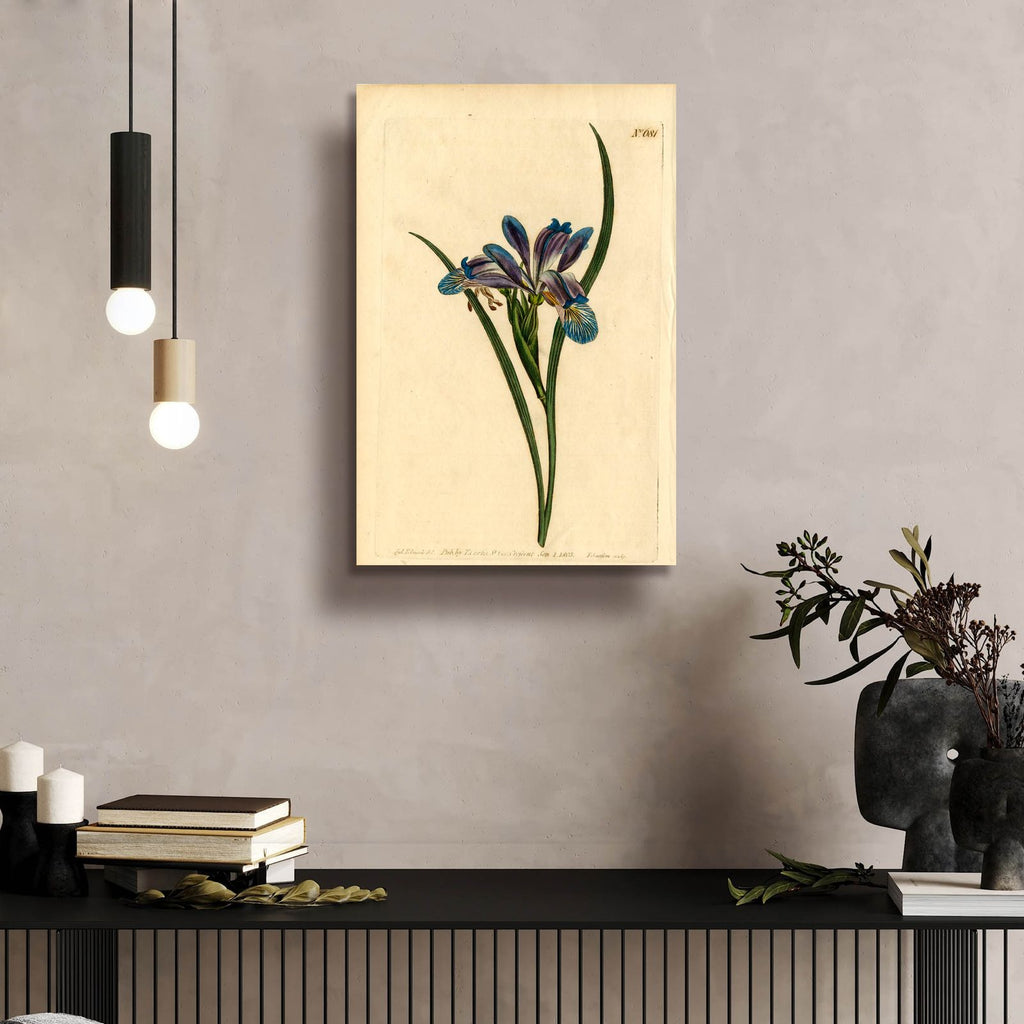 Iris Graminea by Art Licensing Studio - 16x24 acrylic wall art in a room