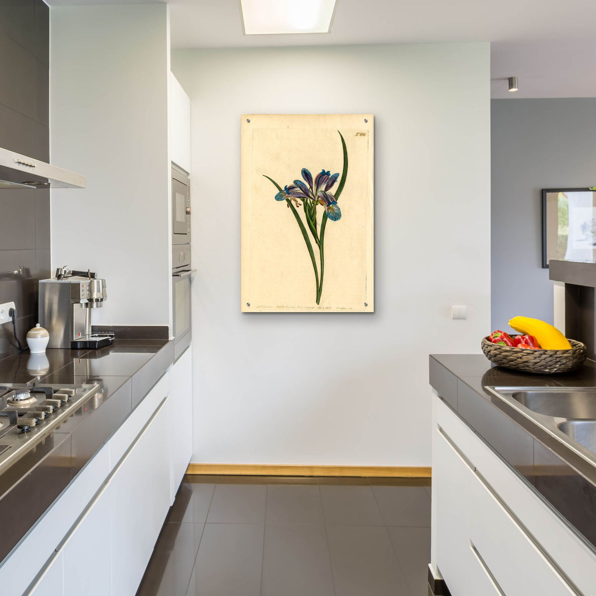 Iris Graminea by Art Licensing Studio - 24x36 acrylic wall art in a room