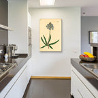 Italian Squill by Art Licensing Studio - 24x36 acrylic wall art in a room