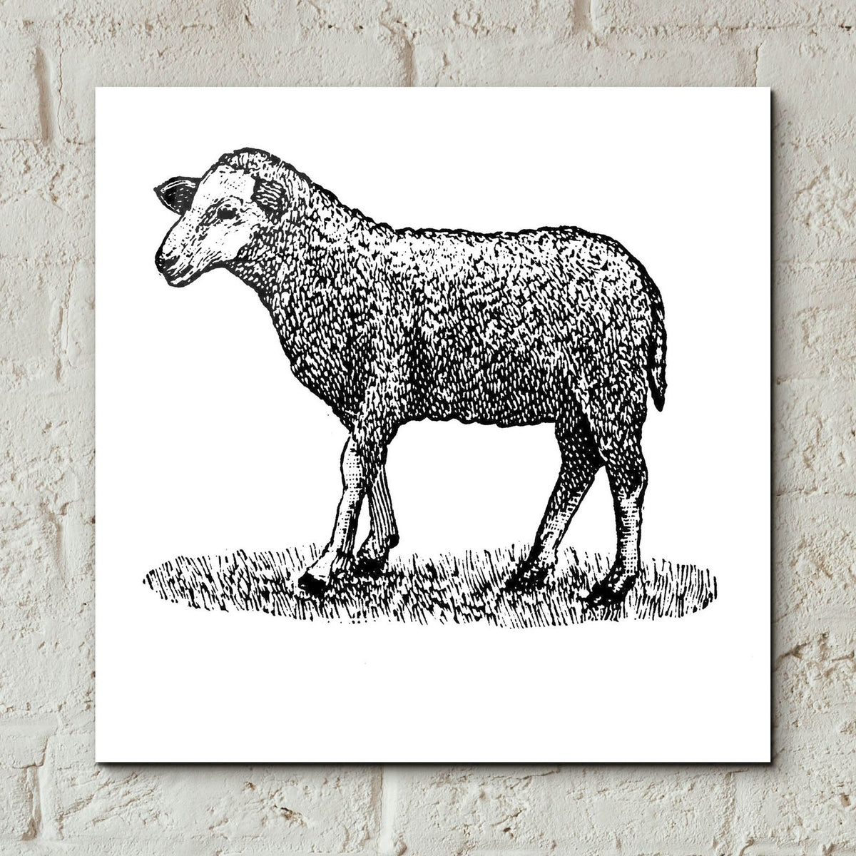 Little Ewe by Art Licensing Studio - 12x12 acrylic wall art in a room