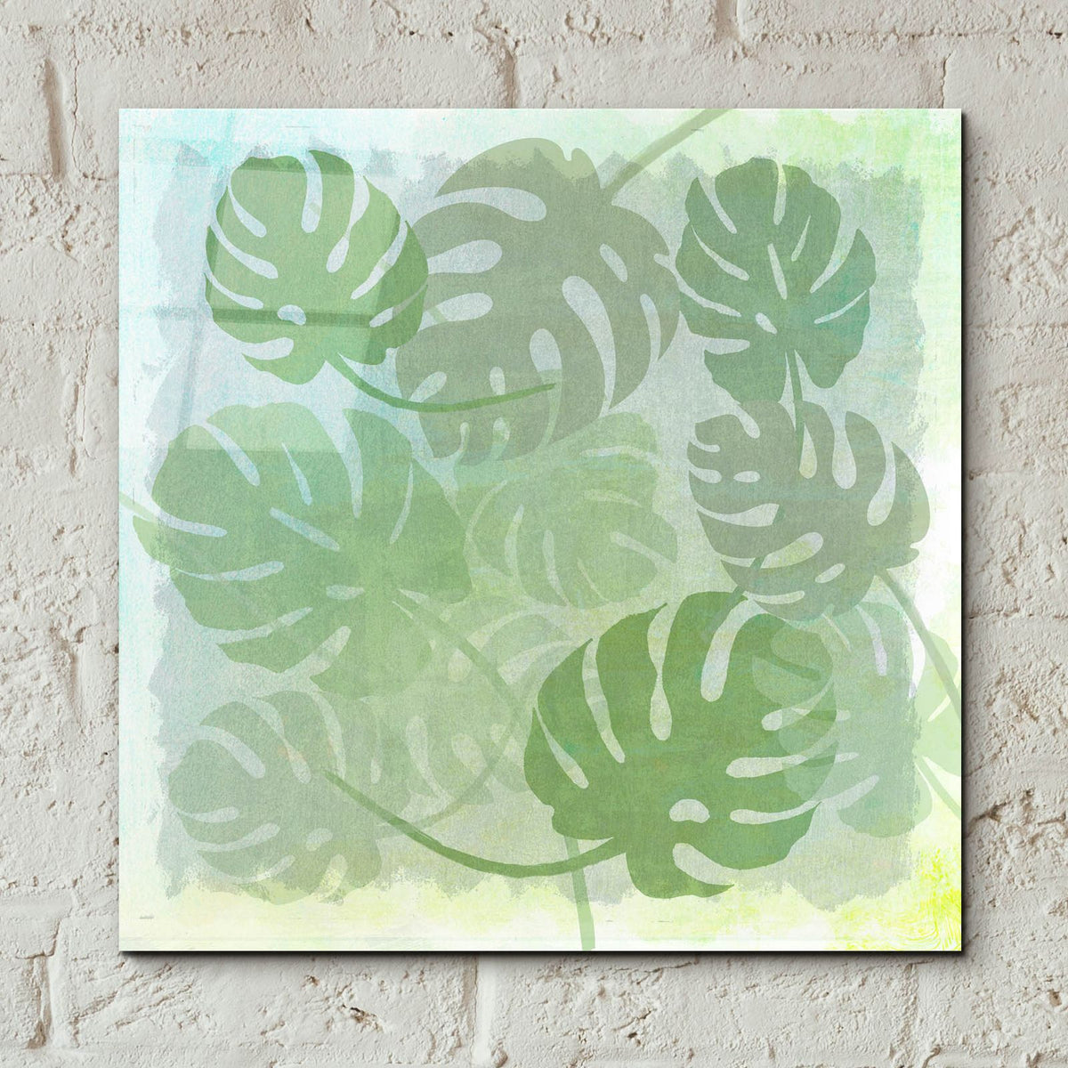 Monstera Water by Art Licensing Studio - 12x12 acrylic wall art in a room