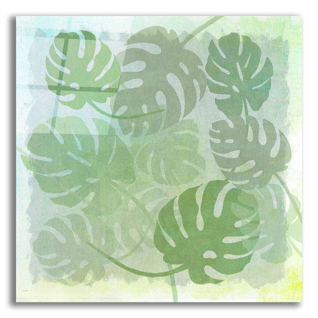 Monstera Water by Art Licensing Studio acrylic glass wall art