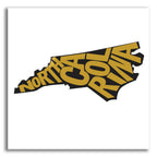 North Carolina 2 by Art Licensing Studio acrylic glass wall art