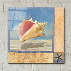 Ocean Beauties 2 by Art Licensing Studio - 12x12 acrylic wall art in a room