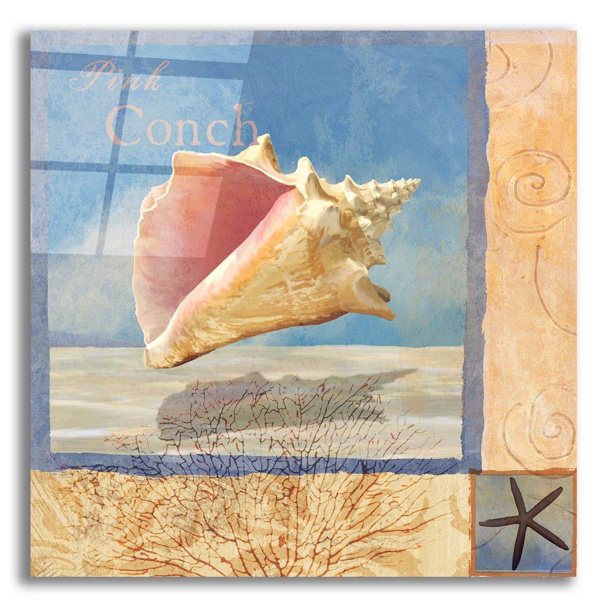 Ocean Beauties 2 by Art Licensing Studio acrylic glass wall art