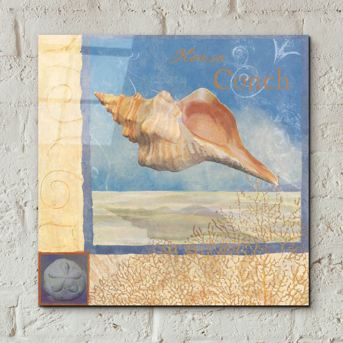Ocean Beauties 3 by Art Licensing Studio - 12x12 acrylic wall art in a room