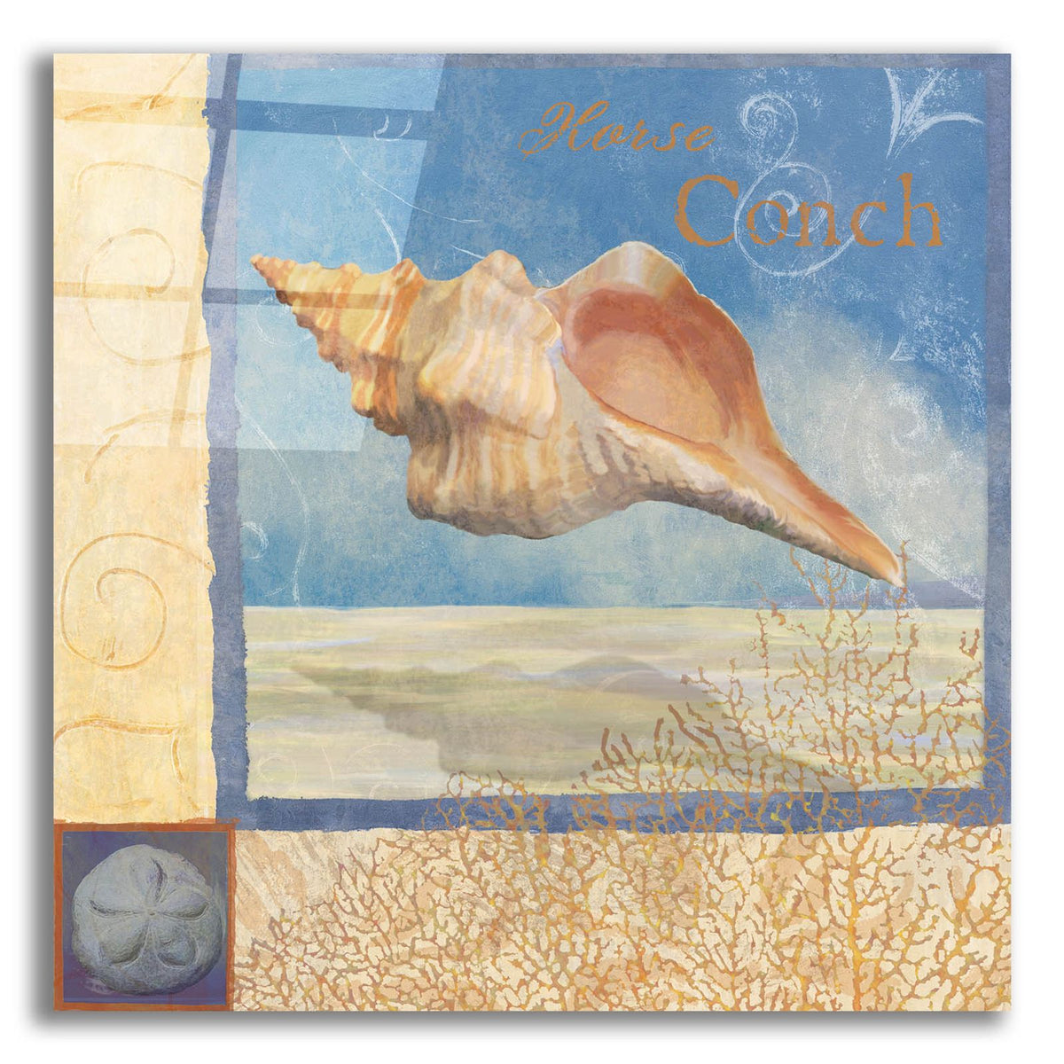 Ocean Beauties 3 by Art Licensing Studio acrylic glass wall art