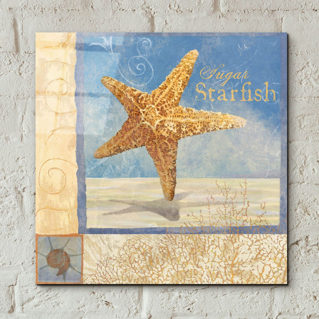 Ocean Beauties 4 by Art Licensing Studio - 12x12 acrylic wall art in a room