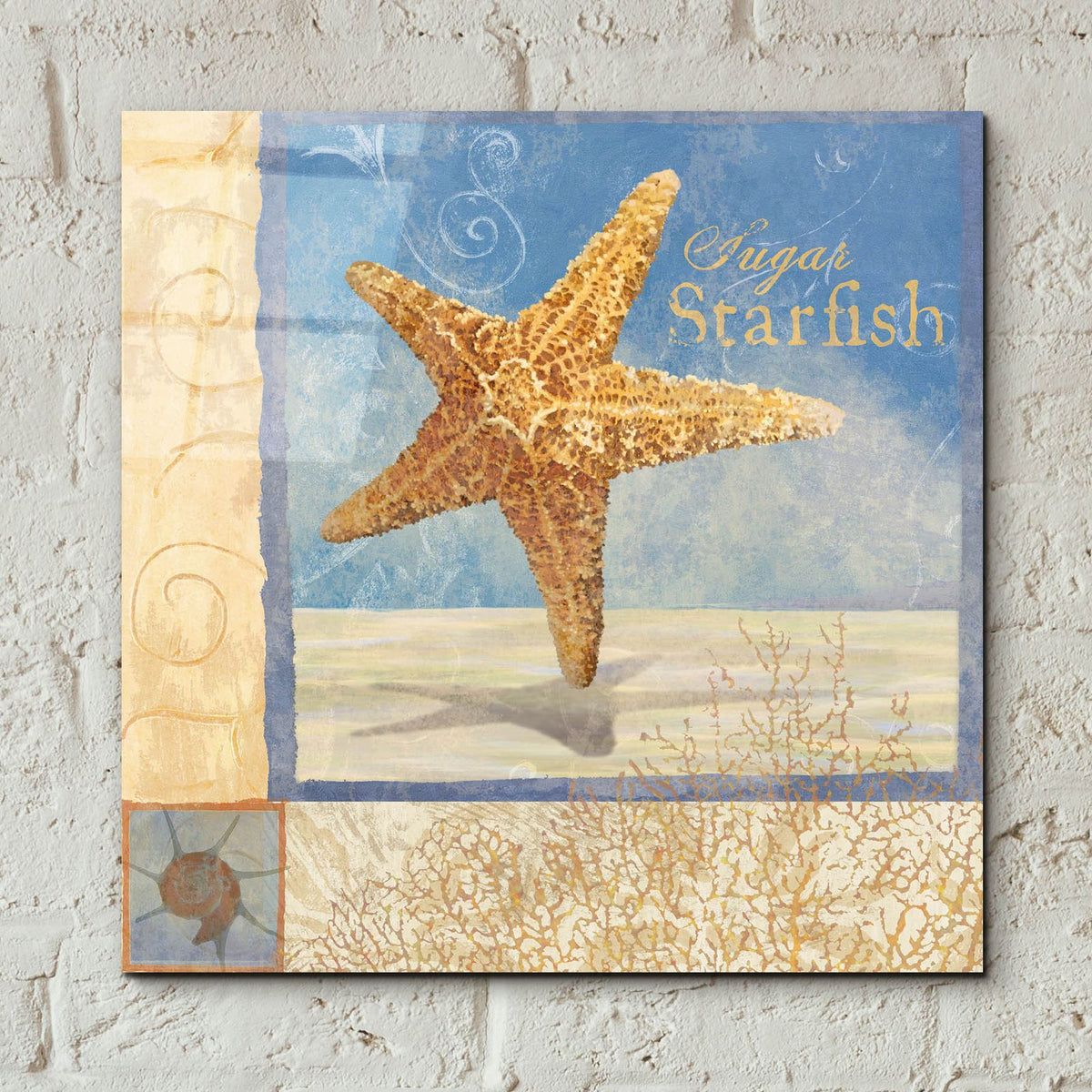 Ocean Beauties 4 by Art Licensing Studio - 12x12 acrylic wall art in a room