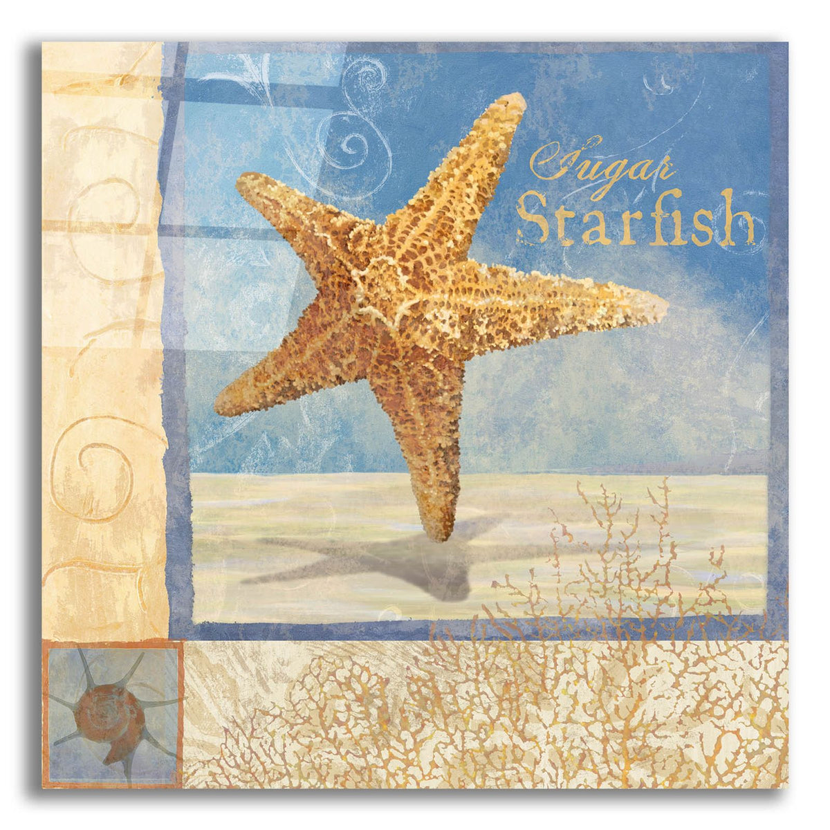 Ocean Beauties 4 by Art Licensing Studio acrylic glass wall art