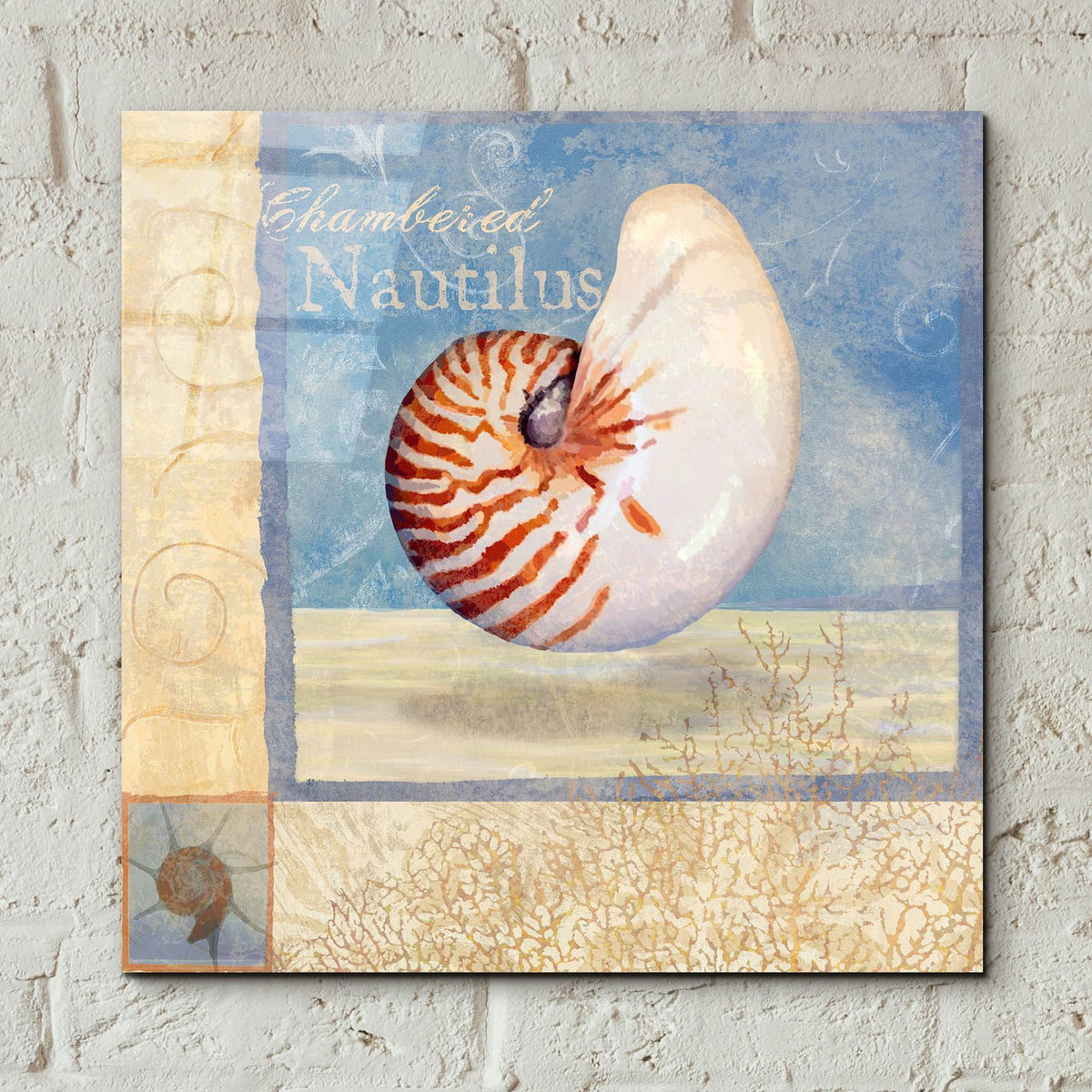 Ocean Beauties 5 by Art Licensing Studio - 12x12 acrylic wall art in a room