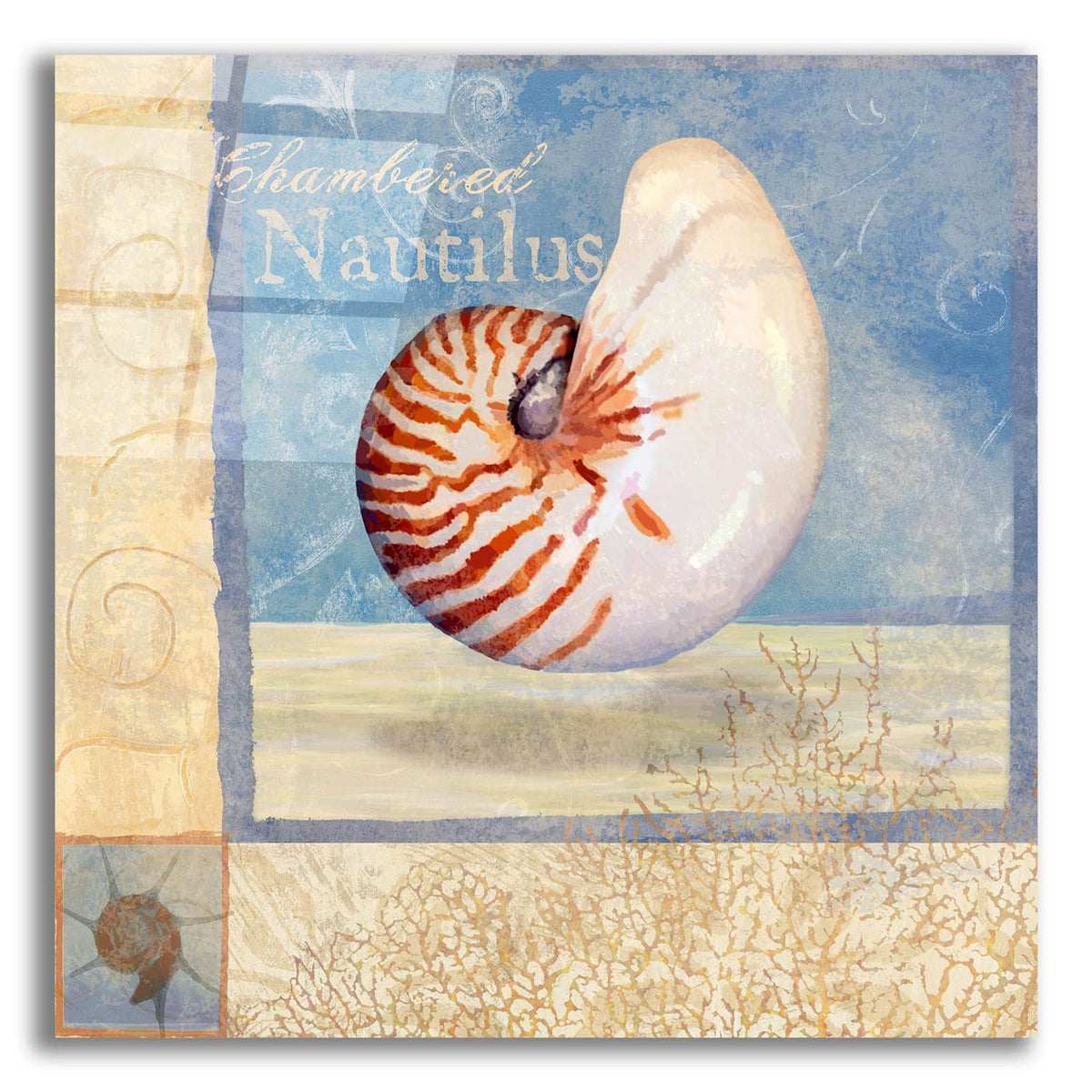 Ocean Beauties 5 by Art Licensing Studio acrylic glass wall art