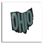 Ohio 2 by Art Licensing Studio acrylic glass wall art