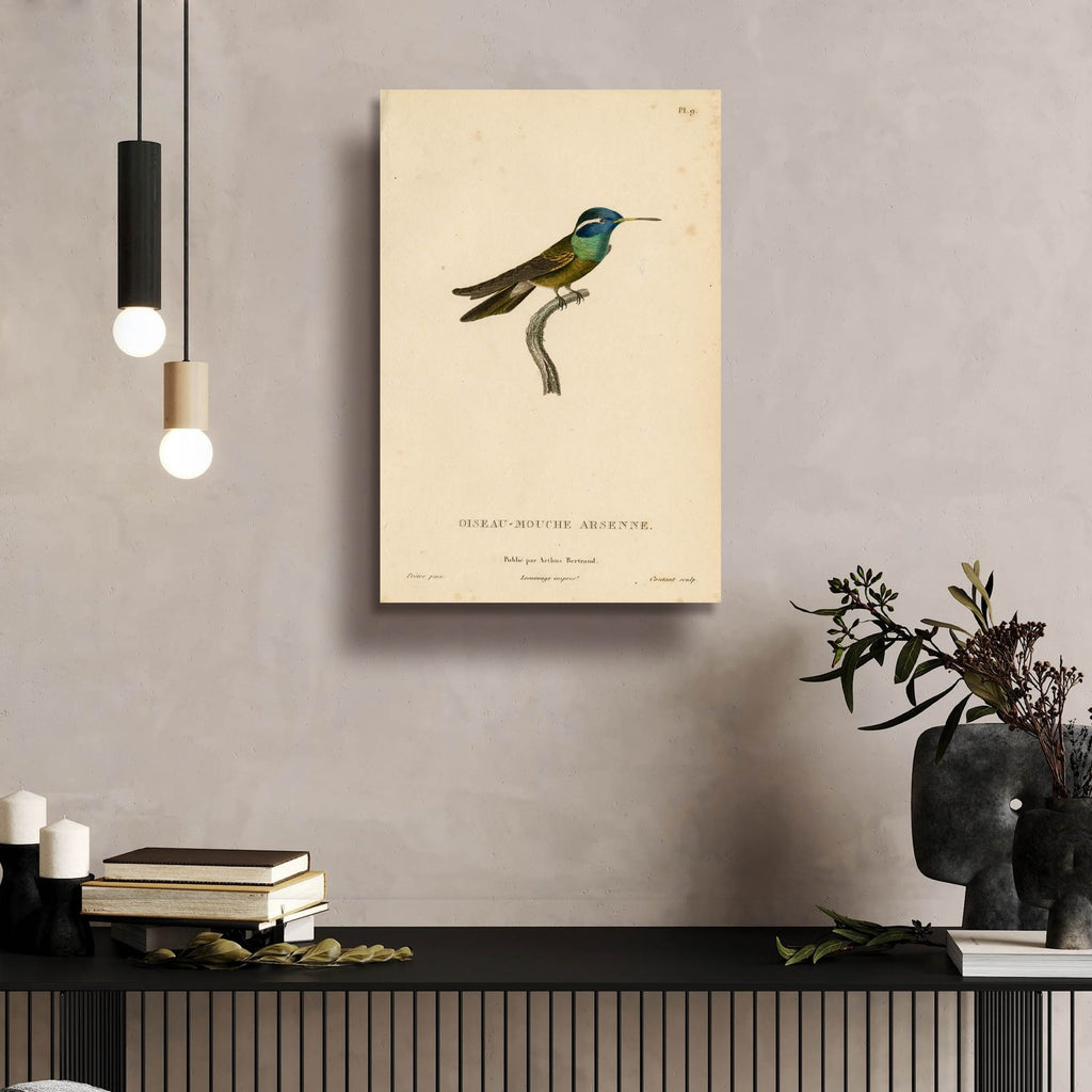 Oiseau-mouche Arsenne by Art Licensing Studio - 16x24 acrylic wall art in a room
