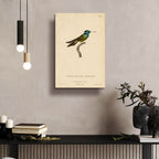 Oiseau-mouche Arsenne by Art Licensing Studio - 16x24 acrylic wall art in a room