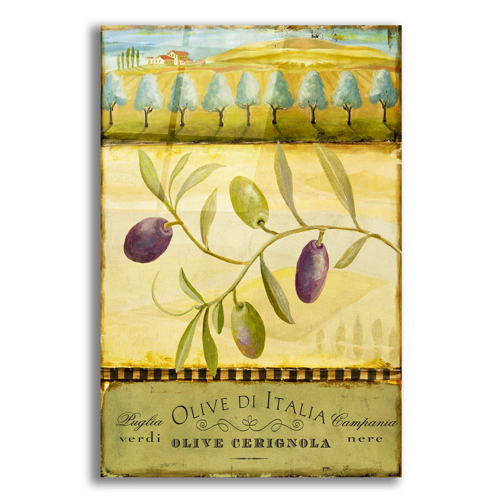 Olive Grove Puglia by Art Licensing Studio acrylic glass wall art