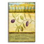 Olive Grove Puglia by Art Licensing Studio acrylic glass wall art
