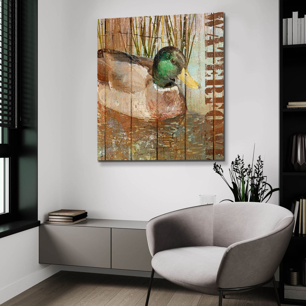 Open Season Mallard by Art Licensing Studio - 36x36 acrylic wall art in a room