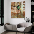 Open Season Mallard by Art Licensing Studio - 36x36 acrylic wall art in a room