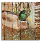 Open Season Mallard by Art Licensing Studio acrylic glass wall art