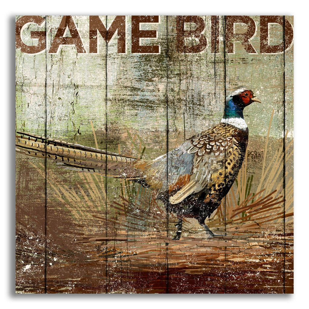 Open Season Pheasant by Art Licensing Studio acrylic glass wall art
